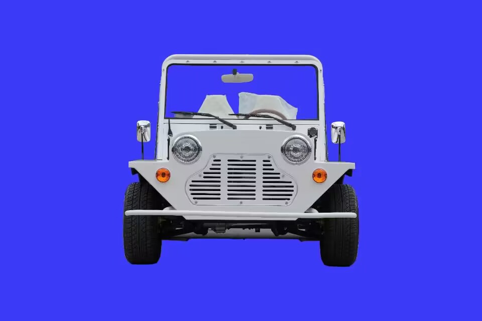 Является ли популярность электрических патрульных автомобилей?